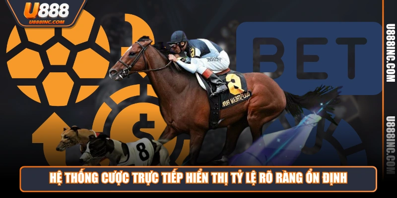 Hệ thống cược trực tiếp hiển thị tỷ lệ rõ ràng ổn định 